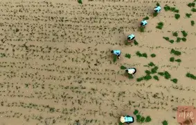 爱游戏ayx官方app -暗区突围阿贾克斯高清海报